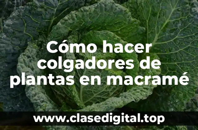 ¿Qué es macramé y para qué sirve?