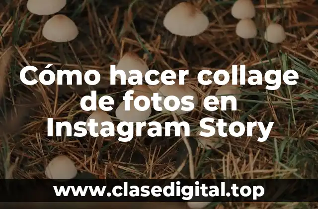 Cómo hacer collage de fotos en Instagram Story