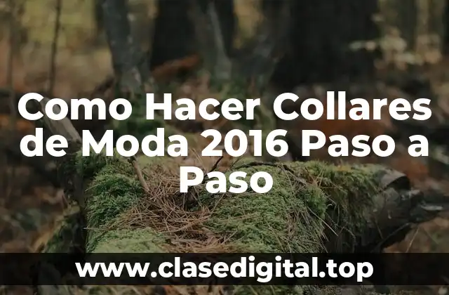 Como Hacer Collares de Moda 2016 Paso a Paso