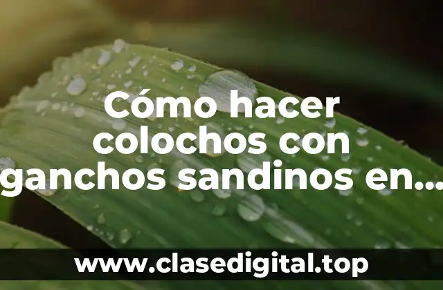 Cómo hacer colochos con ganchos sandinos en pelo corto