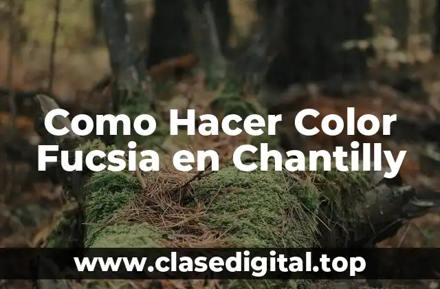 Como Hacer Color Fucsia en Chantilly