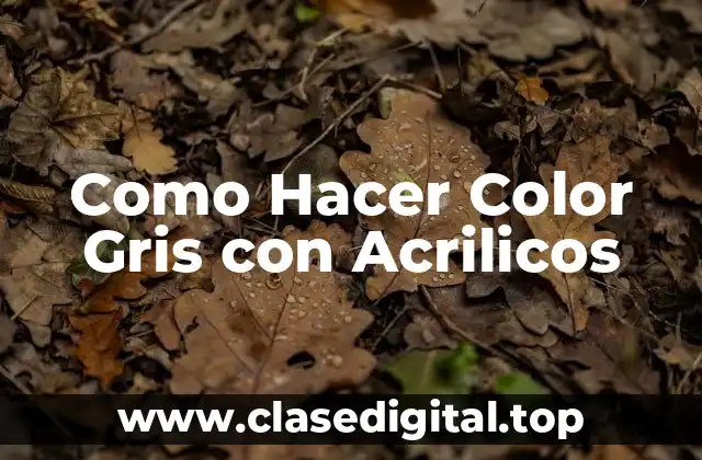 Como Hacer Color Gris con Acrilicos