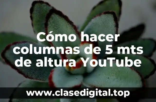 Cómo hacer columnas de 5 mts de altura YouTube