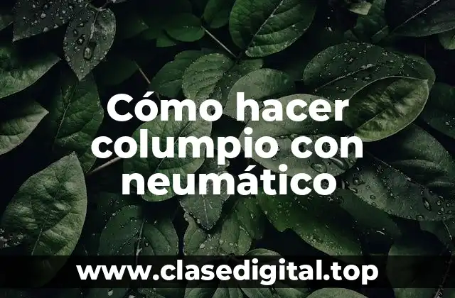 Cómo hacer columpio con neumático