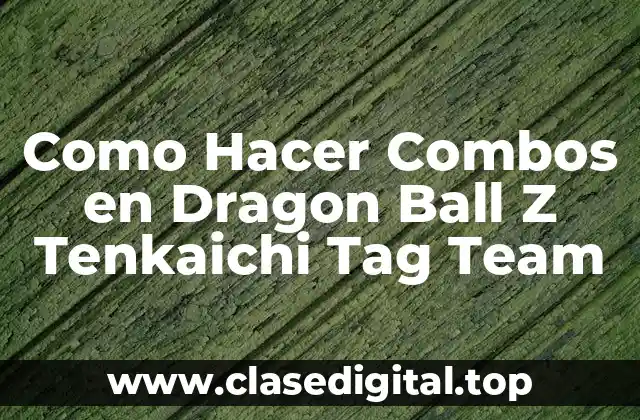 Como Hacer Combos en Dragon Ball Z Tenkaichi Tag Team