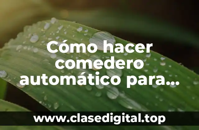 Cómo hacer comedero automático para perros casero