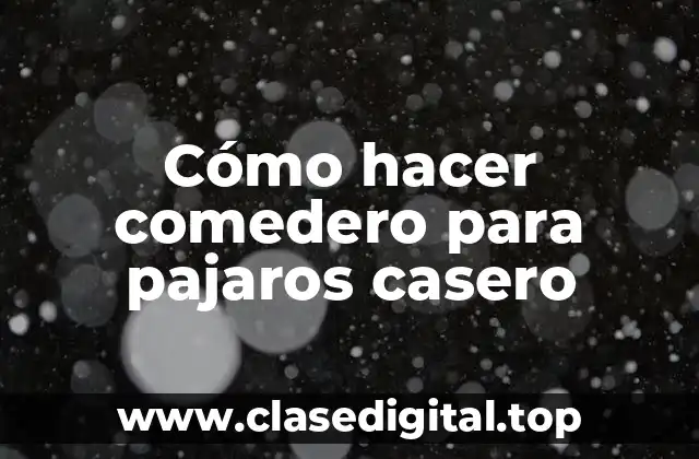 Cómo hacer comedero para pajaros casero