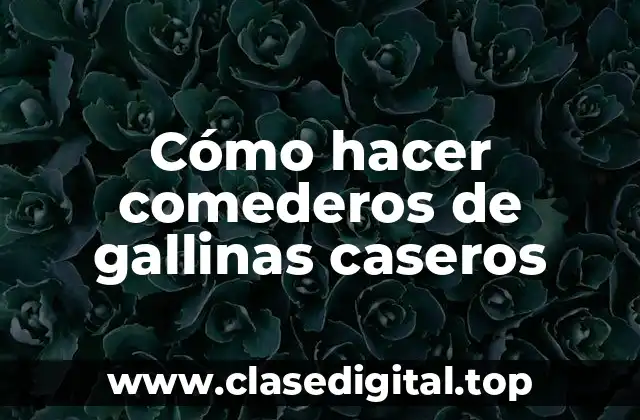 Comederos de gallinas caseros: beneficios y características