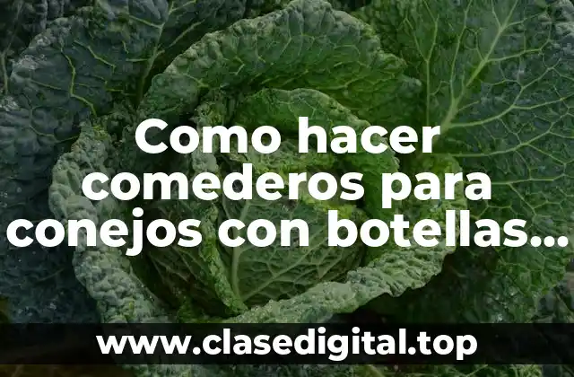 Como hacer comederos para conejos con botellas de plástico