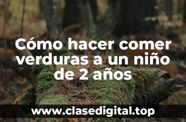 Cómo hacer comer verduras a un niño de 2 años