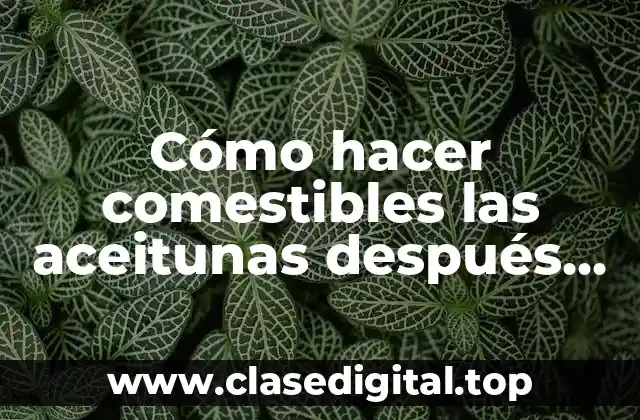 Cómo hacer comestibles las aceitunas después de la cosecha