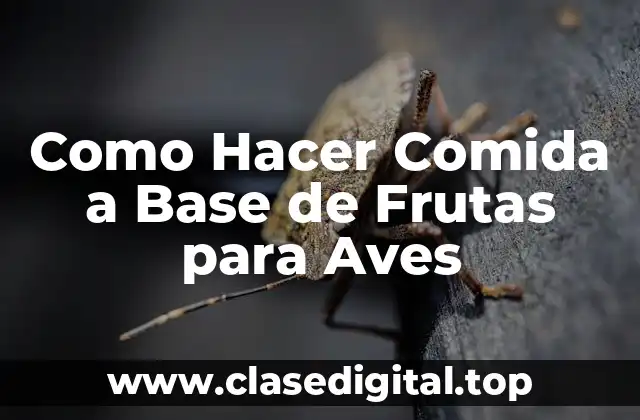 Como Hacer Comida a Base de Frutas para Aves