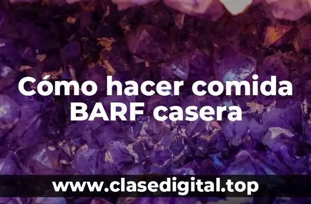 ¿Qué es la comida BARF casera?