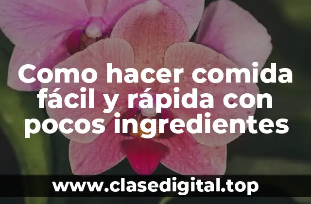 Como hacer comida fácil y rápida con pocos ingredientes