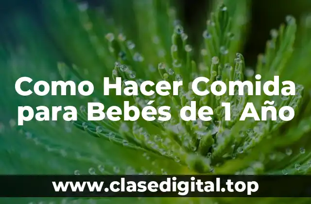 Como Hacer Comida para Bebés de 1 Año