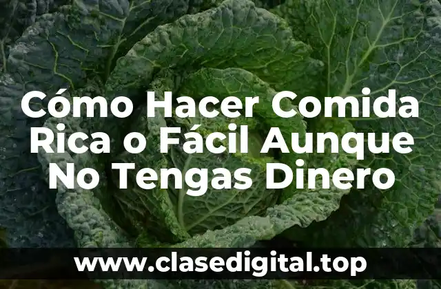 Cómo Hacer Comida Rica o Fácil Aunque No Tengas Dinero