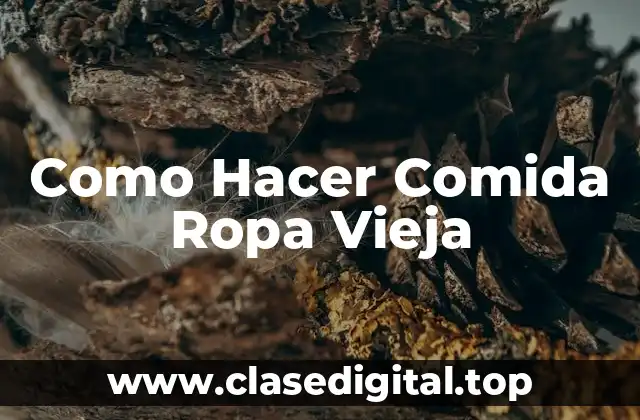 Como Hacer Comida Ropa Vieja
