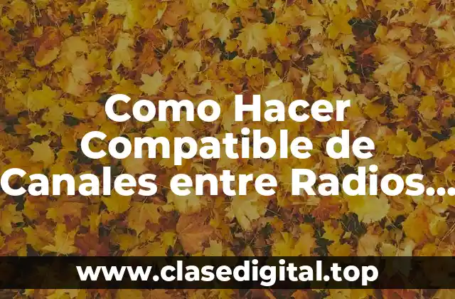 Como Hacer Compatible de Canales entre Radios de Diferentes Marcas