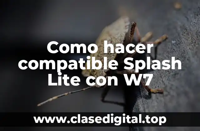 ¿Qué es Splash Lite y Para qué Sirve?