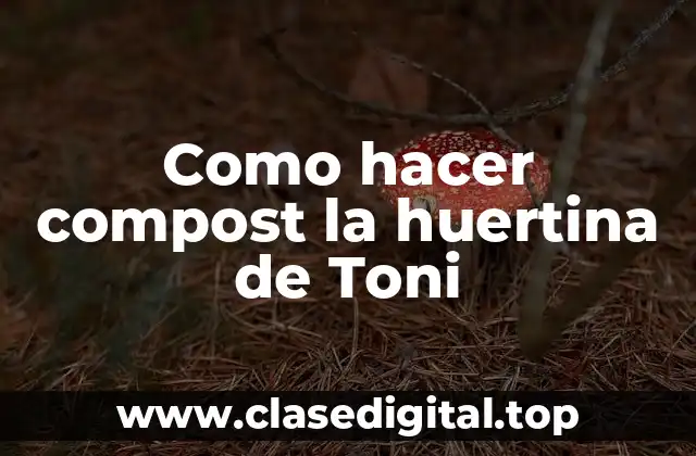 ¿Qué es el compost y para qué sirve en la huertina de Toni?