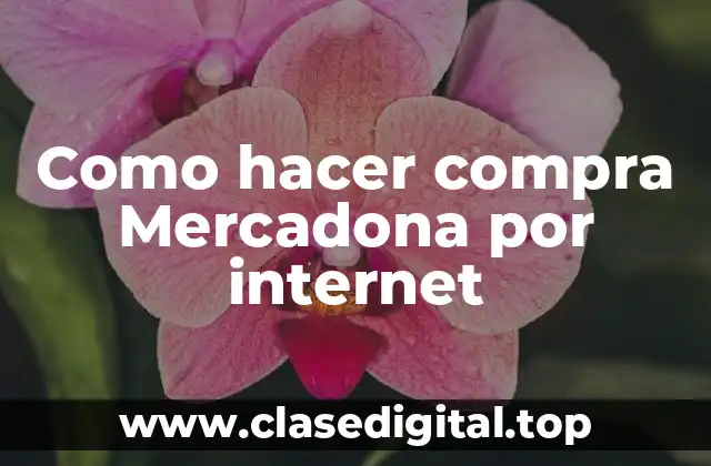 Como hacer compra Mercadona por internet