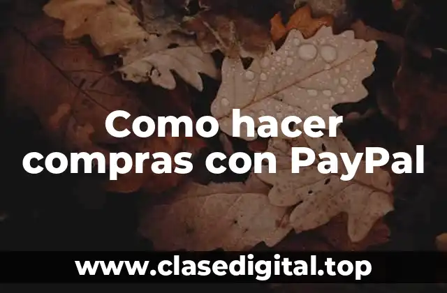 Como hacer compras con PayPal