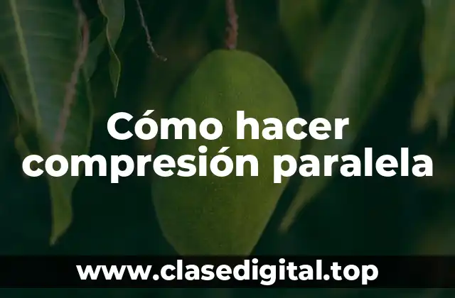 ¿Qué es la compresión paralela?