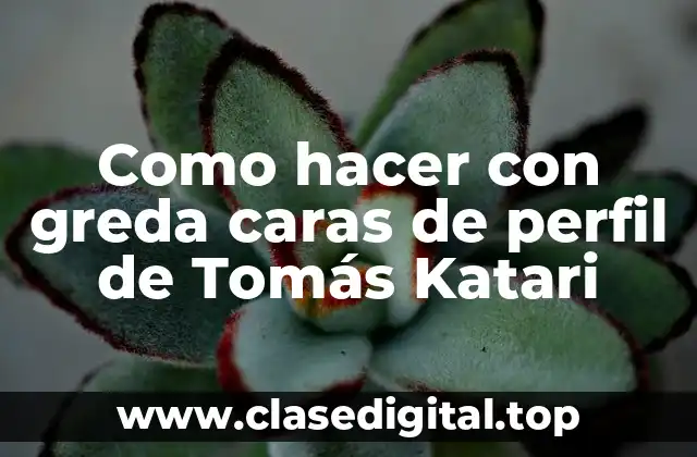 Como hacer con greda caras de perfil de Tomás Katari