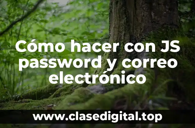 Cómo hacer con JS password y correo electrónico