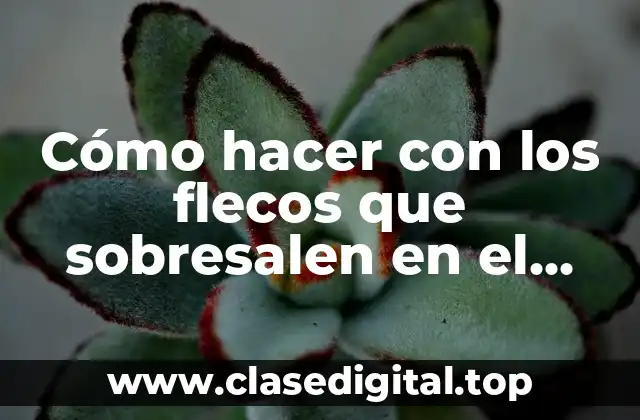 Cómo hacer con los flecos que sobresalen en el pelo
