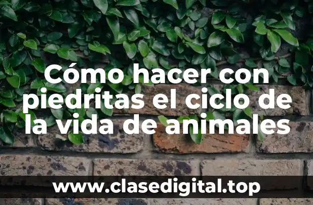 Cómo hacer con piedritas el ciclo de la vida de animales