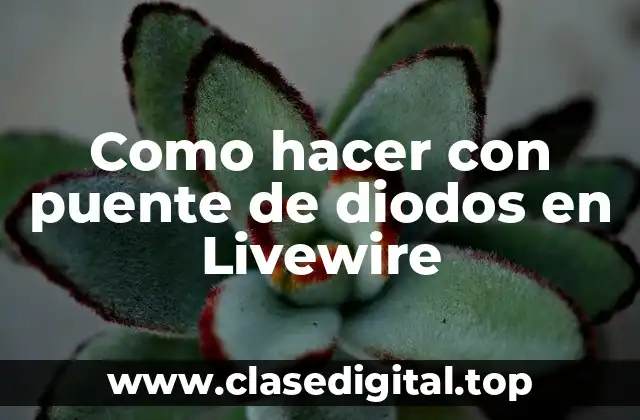 Como hacer con puente de diodos en Livewire