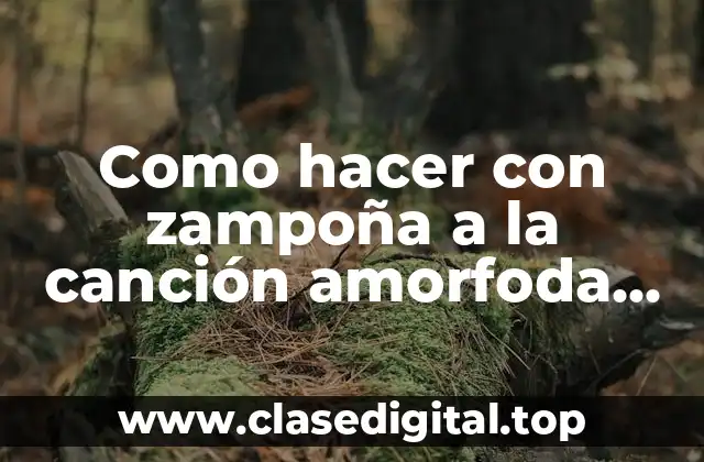 Como hacer con zampoña a la canción amorfoda en muestra