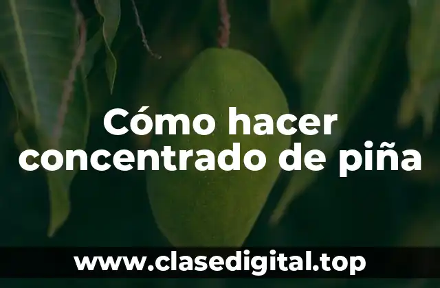 Cómo hacer concentrado de piña