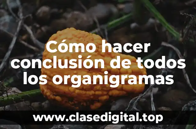 Cómo hacer conclusión de todos los organigramas