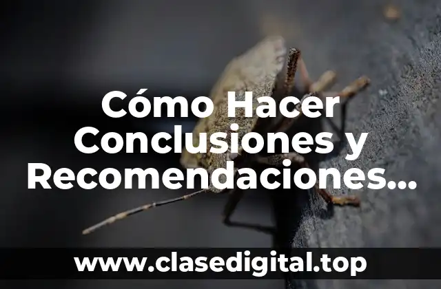 Cómo Hacer Conclusiones y Recomendaciones de una Investigación