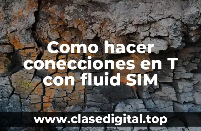 Como hacer conecciones en T con fluid SIM