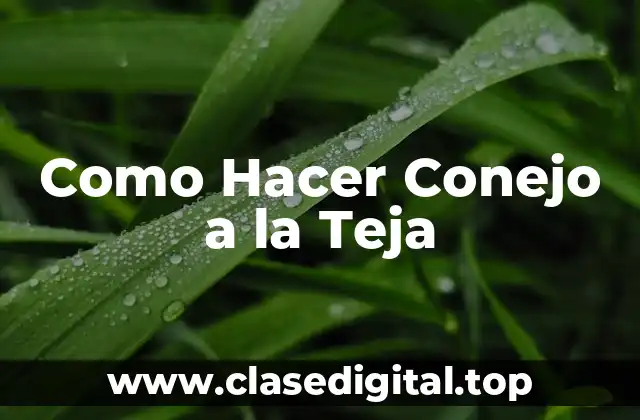 Como Hacer Conejo a la Teja