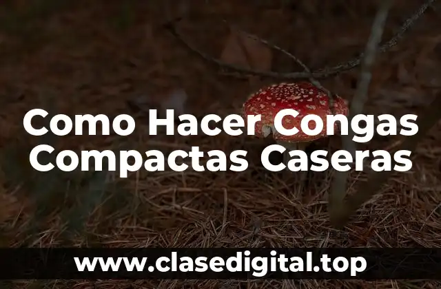 Como Hacer Congas Compactas Caseras