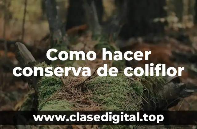 Conserva de coliflor: ¿qué es y para qué sirve?