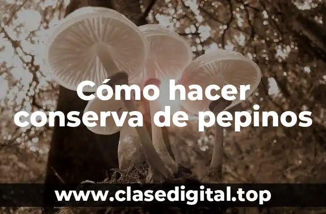 Cómo hacer conserva de pepinos