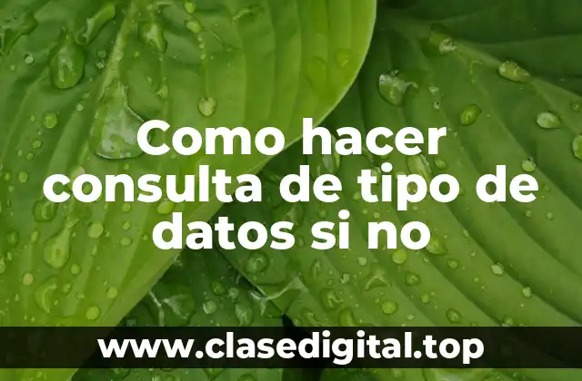 Como hacer consulta de tipo de datos si no