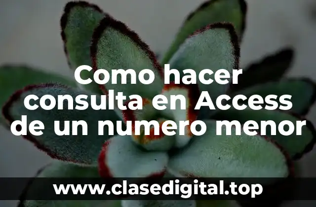 Como hacer consulta en Access de un numero menor