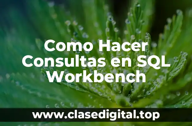Como Hacer Consultas en SQL Workbench