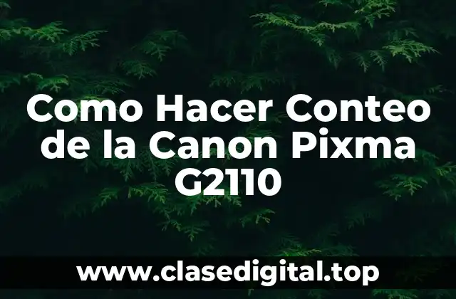 La Canon Pixma G2110: ¿Qué es y para qué sirve?