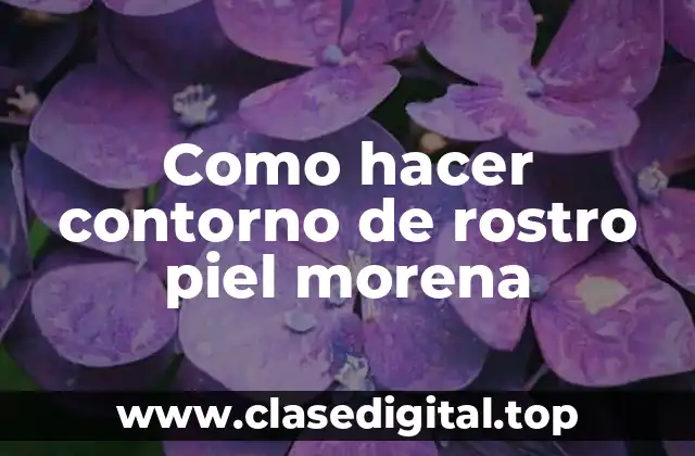 Como hacer contorno de rostro piel morena