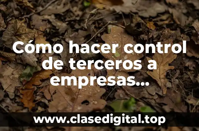 Cómo hacer control de terceros a empresas extranjeras