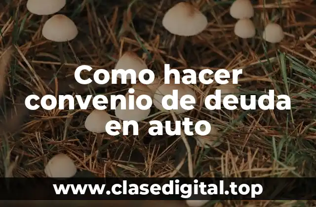 Como hacer convenio de deuda en auto