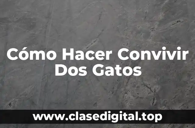 Cómo Hacer Convivir Dos Gatos