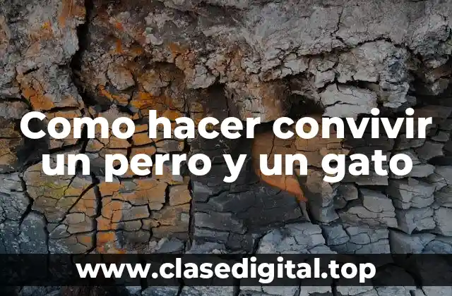 Como hacer convivir un perro y un gato